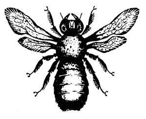 Bumblebee logo